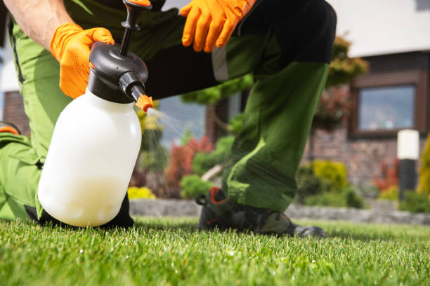 Best Mosquito Control Services  in Horseshoe Bay, TX