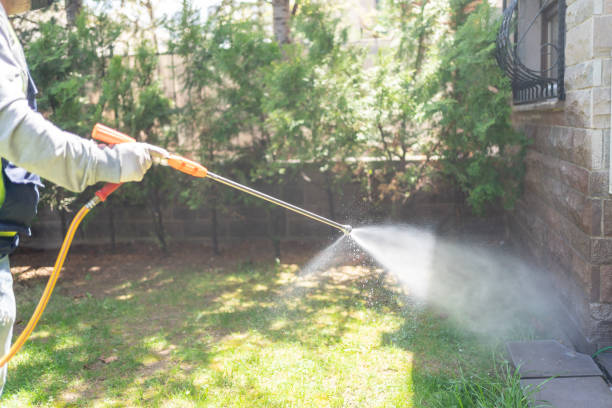 Best Cockroach Control Services  in Horseshoe Bay, TX