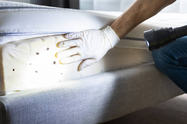 Best Exterminator Services  in Horseshoe Bay, TX