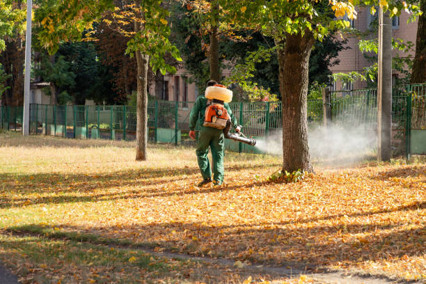 Best Affordable Pest Control Services  in Horseshoe Bay, TX