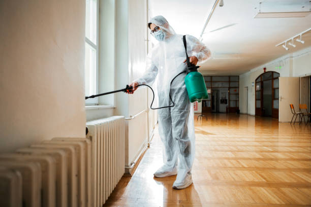 Best Termite Control Services  in Horseshoe Bay, TX