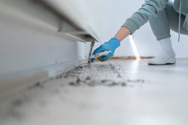 Best Best Pest Control Companies  in Horseshoe Bay, TX